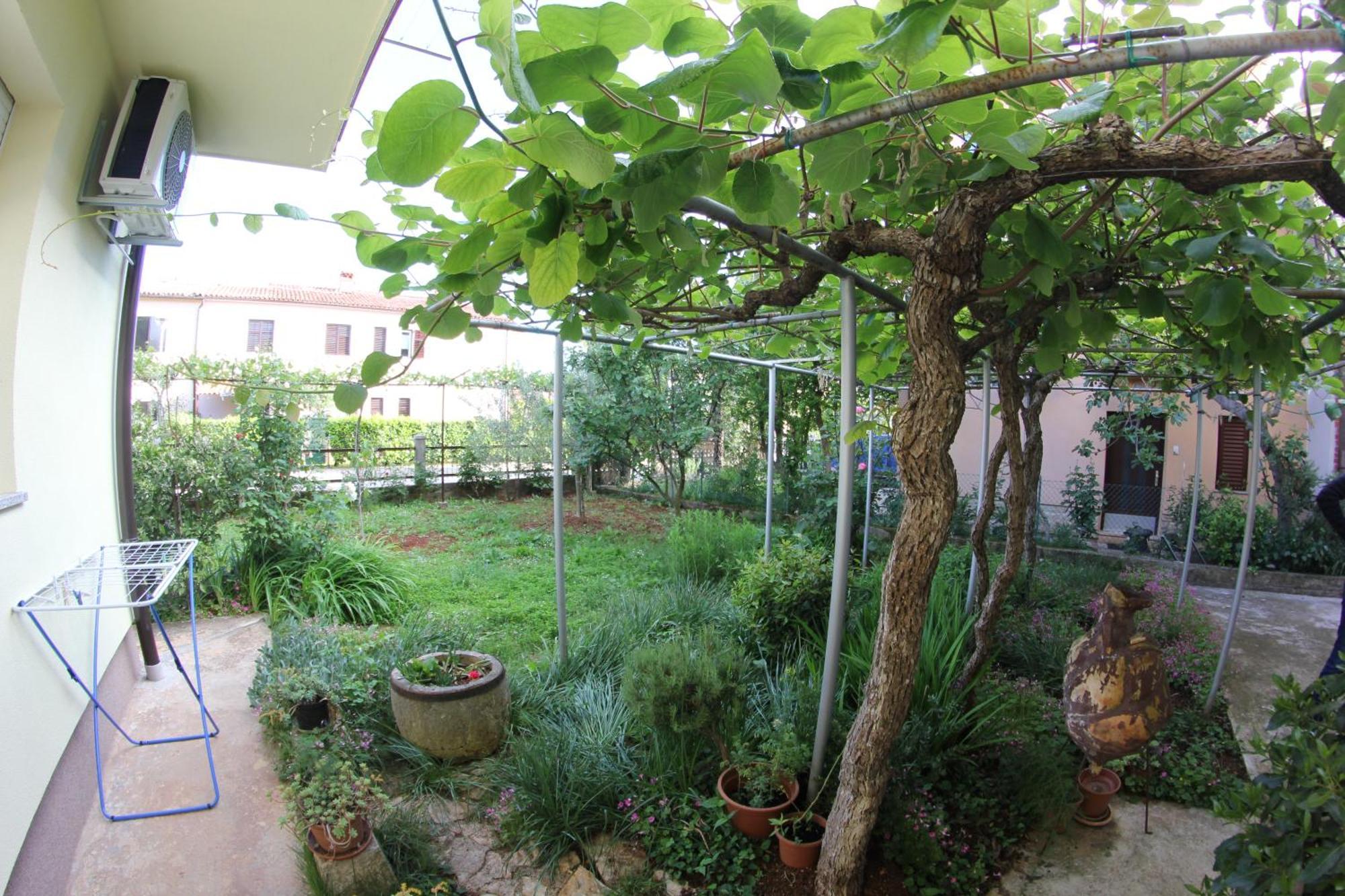 Apartments Neno Umag Ruang foto